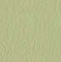 secret-7sn-pastel-green.jpg